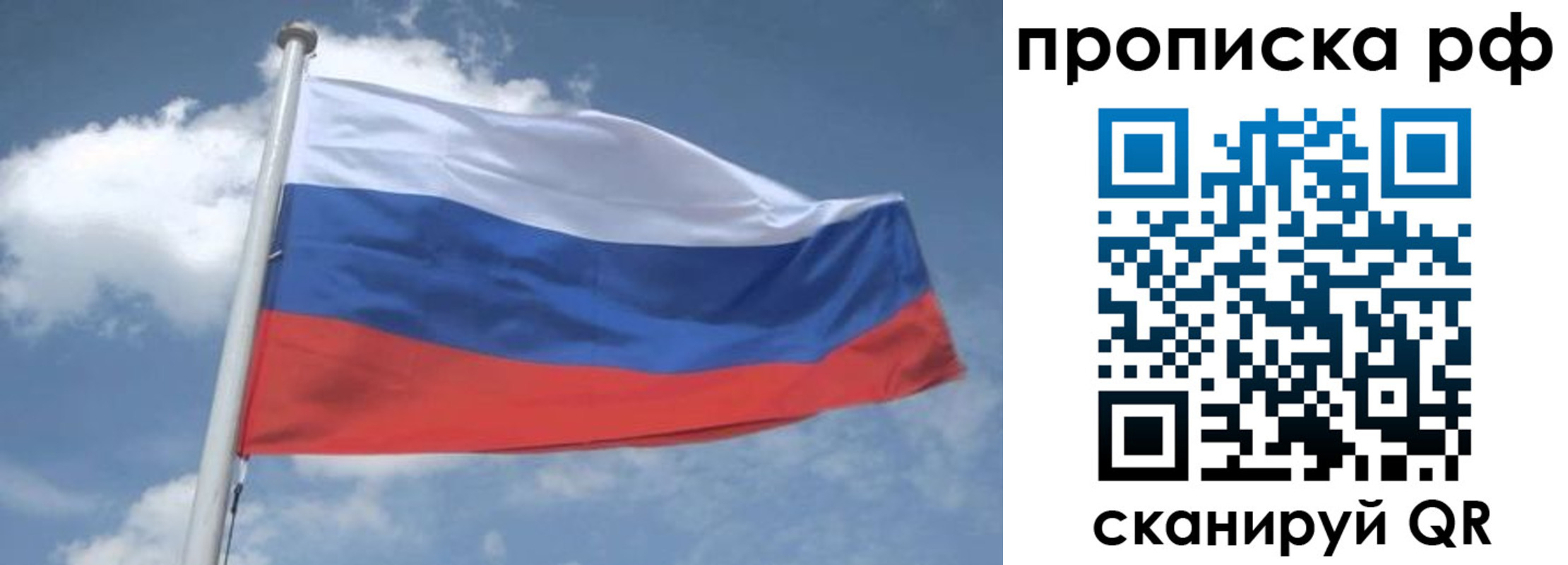 прописка регистрация в Фрязино
